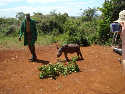 Maalim the baby rhino and keeper