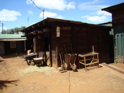 elephant barns