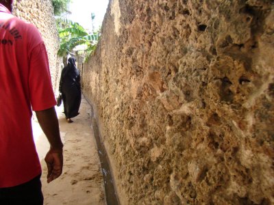 our guide, on the walking tour