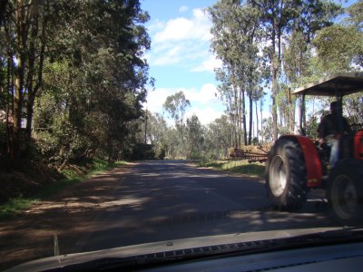 In and Around Nairobi