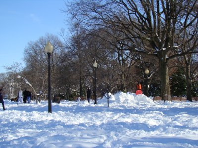 snow fort in Lincoln Park, Sunday afternoon