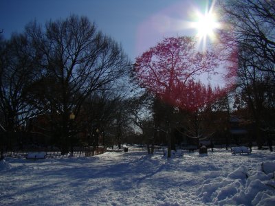 Lincoln Park, Sunday afternoon