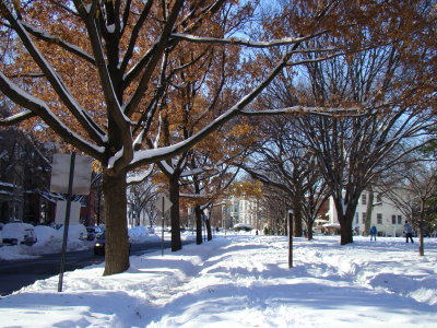 East Capitol Street from Lincoln Park, Sunday afternoon