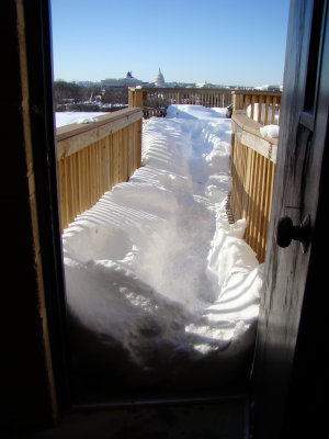 looking through the doorway to the roof deck, Sunday afternoon