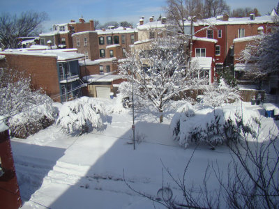 Snowpocalypse II February 2010