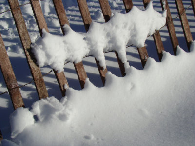 snowfence