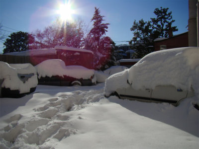 Snowpocalypse II February 2010