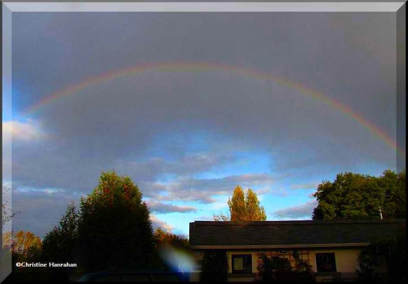 Rainbow over the FWG