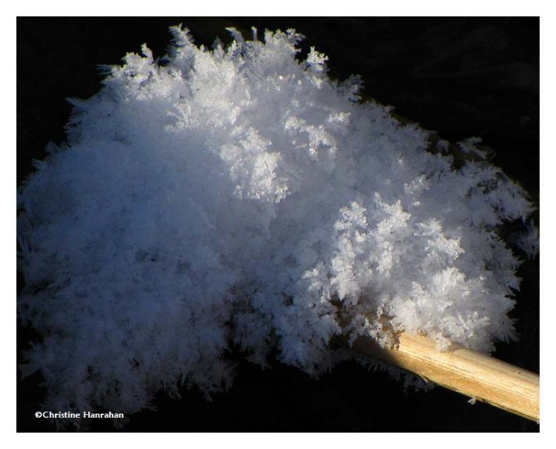 Snow crystals