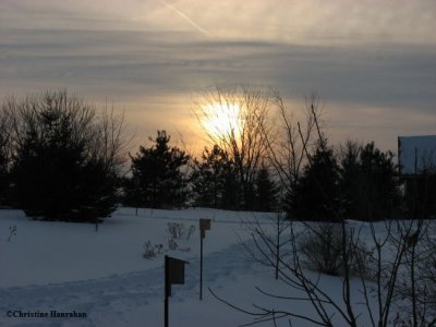 Sunset over the New woods