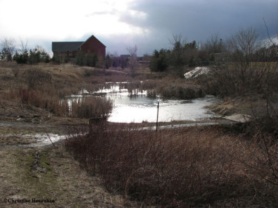 Early spring