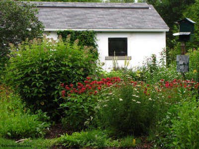 The Interpretive Centre and Backyard Garden, July 2009