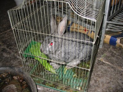  In Box