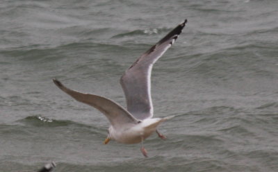 g1/07/894807/3/110107333.fh8uYNED.jpg