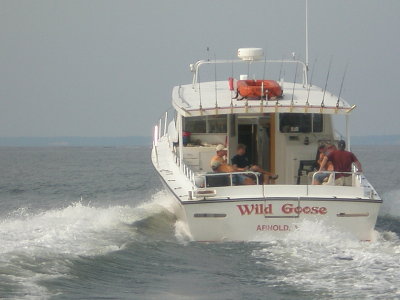  Striper Fishing 2008