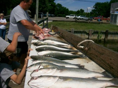 Summer Fishing 2009