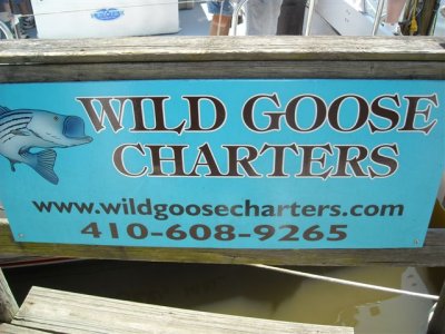 Wild Goose Charter August 7 2010 1403.JPG
