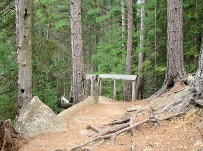 Staircase along the trail