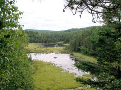 Looking down at the beaver pond