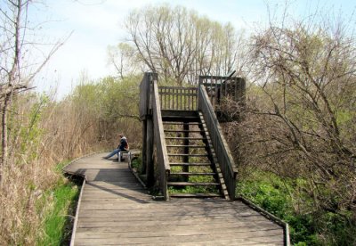 Observation Tower along DeLaurier Trail