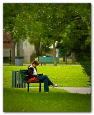 Reader On A Park Bench
