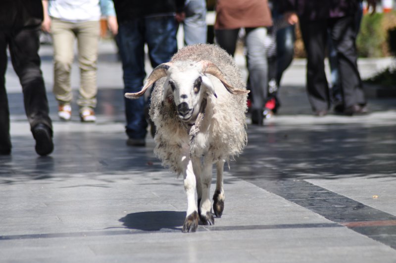 Lhasa, Tibet (China)