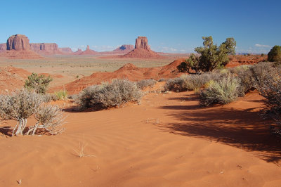 Arizona