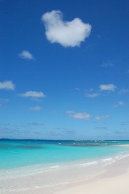 Blues and Whites in Anguilla.jpg
