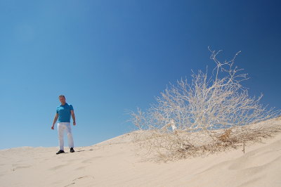 Christopher and Shrub, Mojave