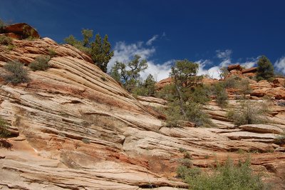 Zion Park Striations.JPG