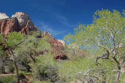 Perfect Colours in Zion Park, Utah