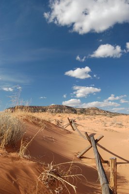 Piunk Coral Sand Dunes, Utah