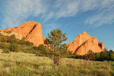 Red Rock and Tree.jpg