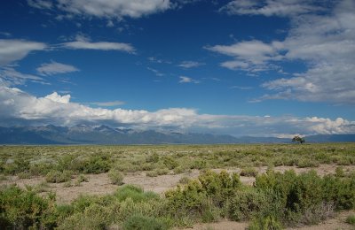 Desert Scrubland.jpg