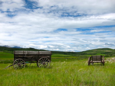 Old Carts in Southern Alberta