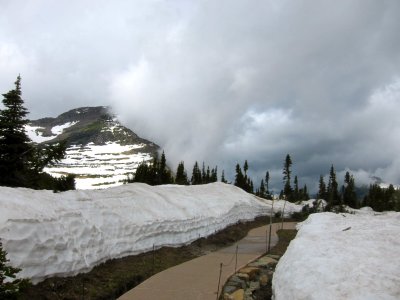 Snow in July at Logan Pass