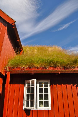 Red Roof with Grass in Torshavn
