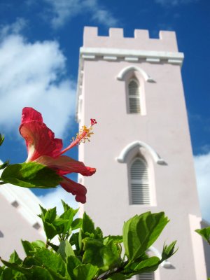 Hibiscus and Church