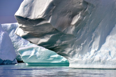Icebergs near Booth Island