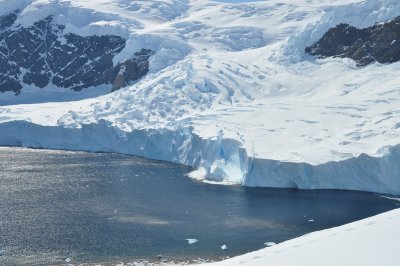 The Ice begins to Calve at Neko