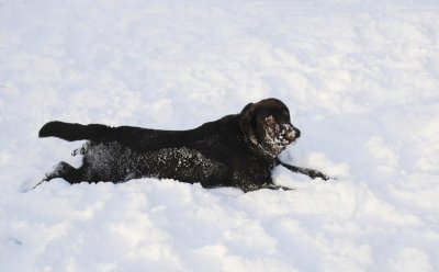 g1/08/117908/3/131207067.ZJPlRP3z.jpg