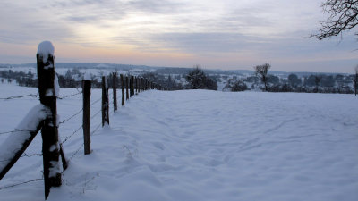 My favourite fence