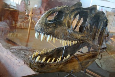 Dinosaur Discovery Site at Johnson Farm