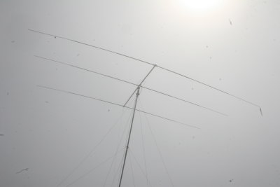 IMG_0475.JPG