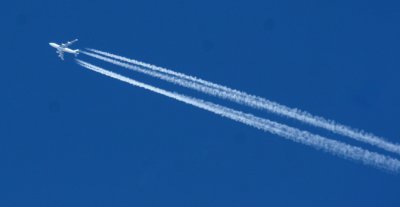 Con Trail