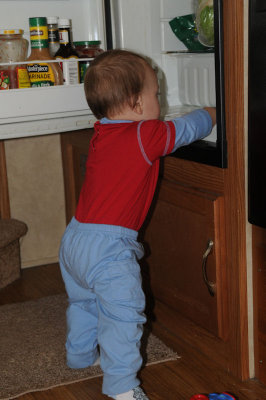 Caden Looking For Grapes