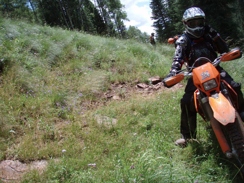 P7312298.jpg
