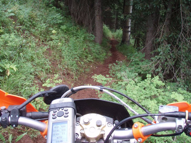P7312321.jpg