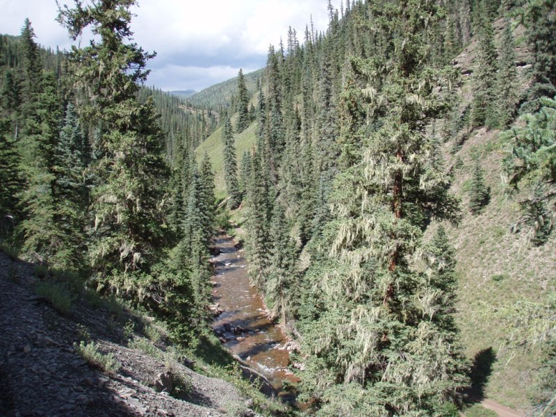 P7312327.jpg