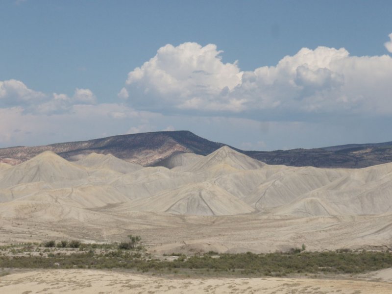 P8032354.jpg